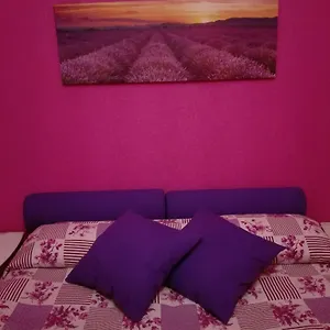  Appartement La Casa Di Rosco